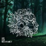 Artwork voor "What Do You Mind EP"