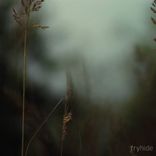 Standing Still Is Moving Backwards