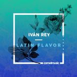 Artwork voor "Latin Flavor"