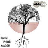 Artwork für "Pink'nda"