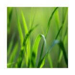 Portada para "211 EP"