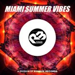 Artwork for "R3sizze presents Miami Summer Vibes 2019"