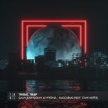 Artwork für "Succubus"