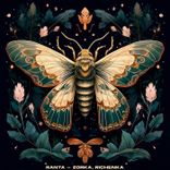 Artwork für "Zorka"