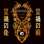 After the Disaster, Before the Disaster