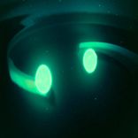 Hallucinatory System