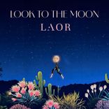 Artwork voor "Look To The Moon"