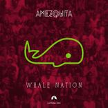 Artwork for "Whale Nation"