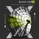 Artwork for "In a Slippery Vortex"