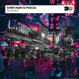 Artwork voor "Shamed"