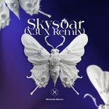 Skysoar