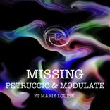 Portada para "Missing"