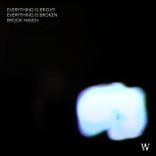 Artwork for "Everything Is Bright Everything Is Broken"