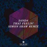 Artwork for "That Feelin' (Simon Shaw Remix)"