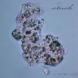 Artwork voor "Kalima Space Driver"