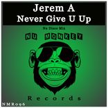 Artwork for "Never Give U Up (Nu Disco Mix)"