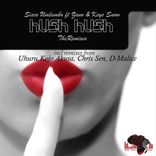 Artwork for "Hush Hush 2013 Remixes"