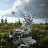 Artwork for "Shadows"