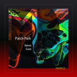 Artwork for "Spices / Gaze"