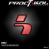 Artwork for "This Is Madness"