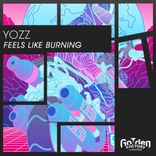 Artwork for "Feels Like Burning"