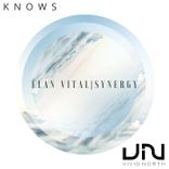 Artwork for "Elan Vital"