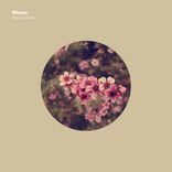 Artwork for "Whisper"