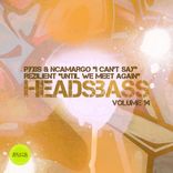 Artwork for "HEADSBASS VOLUME 14 - PART TWO"