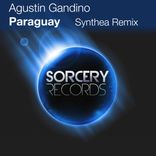 Artwork für "Paraguay (Synthea Remix)"