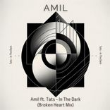 Artwork for "In The Dark (Amil Broken Heart Mix)"