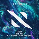 Artwork for "Wild Ones (Elite Electronic & Eternal Flame Remix)"