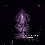 Portada para "Ancestral Journey"