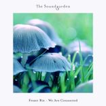 Artwork for "We Are Connected"