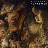 Artwork voor "Playzmer"