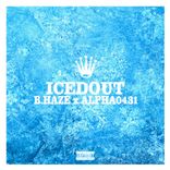 Portada para "Icedout"