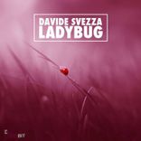 Artwork for "Ladybug"