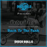 Artwork for "Back To The Funk"