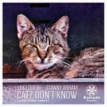 Artwork für "Catz Don't Know (Alex Raider Remix)"