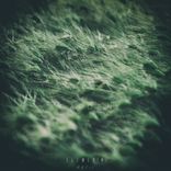 Portada para "Garden"