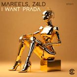 Artwork for "I Want Prada"