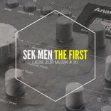 Portada para "The First"