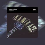 Artwork für "Kamikaze"