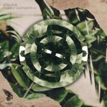 I Can See the Light in Your Eyes