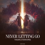 Artwork for "Never Letting Go"
