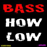Artwork for "Bass How Low"