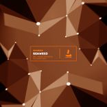 Artwork voor "Seaweed"