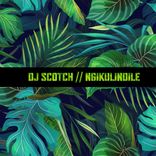 Artwork für "Ngikulindile"