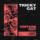 Artwork for "Tricky Cat"