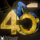 Artwork for "Caje Sukarije"