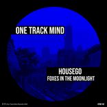 Artwork for "Foxes In The Moonlight"